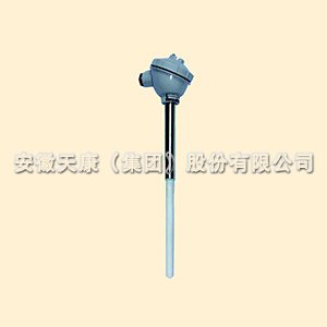 防腐熱電阻