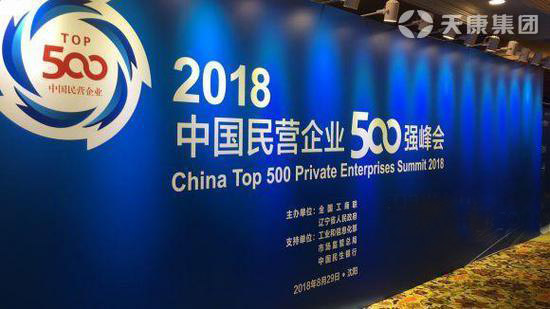 民營(yíng)企業(yè)500強(qiáng)單位